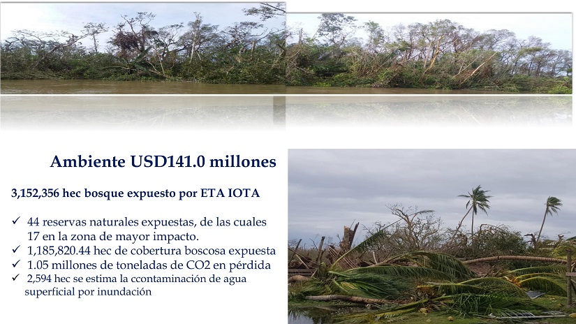 INFORME